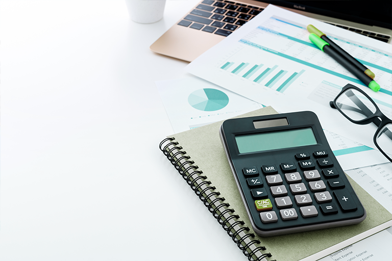 Auditors and Other Financial Professionals Oversight